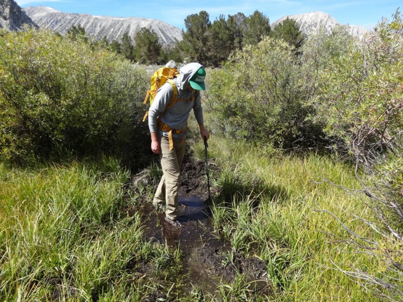 hiking boots men - hiking through the bog was a great way to test for support and...