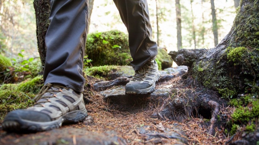 merrell moab 2 ventilator - wet, mossy rocks and roots are of little concern in the...