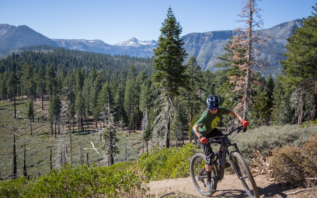 specialized stumpjumper fsr comp carbon 29 2018 - neutral positioning, a 28-tooth chainring, and balanced geometry...