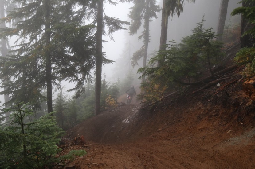 troy lee designs d3 carbon mips - feel free to get rad with the troy lee designs d3 helmet on your head.