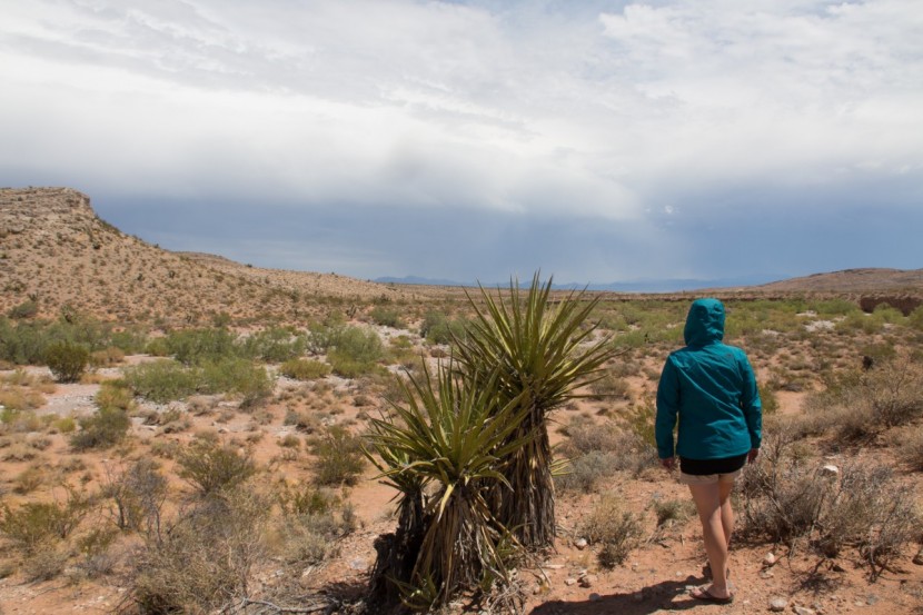 the north face resolve 2 for women - from the mountains to the deserts, the resolve 2 ranked average when...