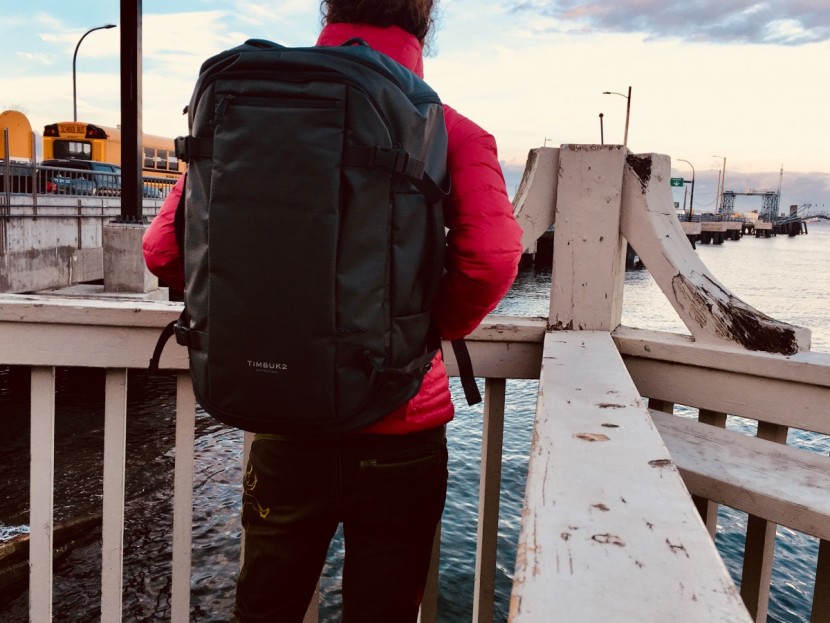 timbuk2 wander - the wander could go between suitcase or duffel and backpack modes...