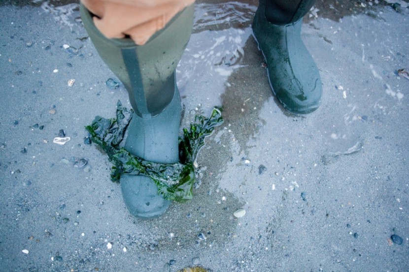 muck boot edgewater ii - we were worried that the neoprene on these boots might leak in our...