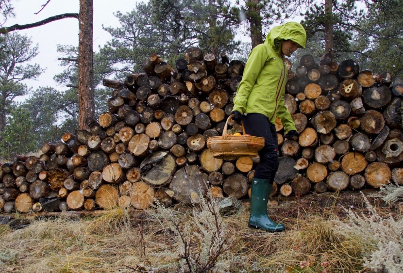 ugg shaye - confidently wearing the shaye while carrying tomatoes from the...