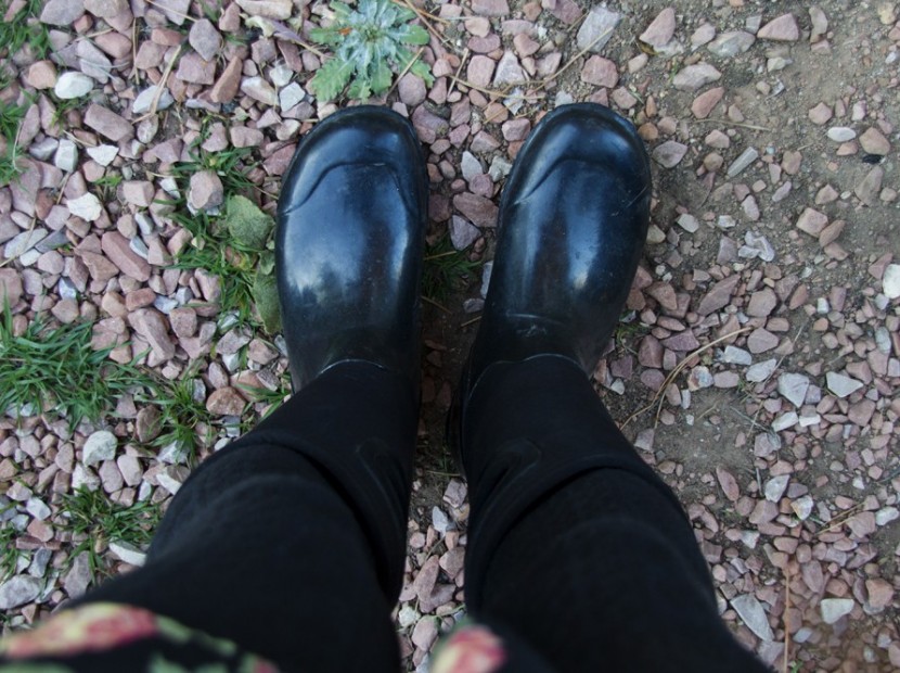 bogs north hampton tall for women - the north hampton was incredibly comfortable for all-day wear and...