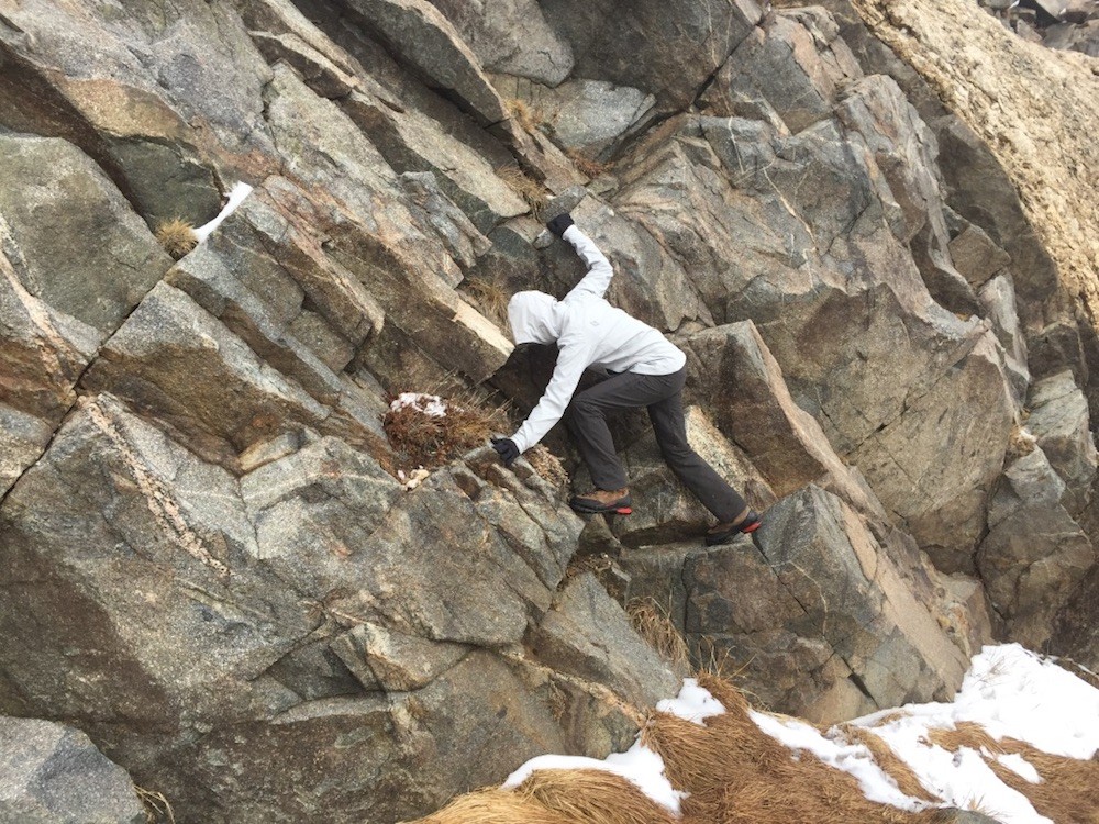 black diamond dawn patrol shell for women - the dawn patrol is built for movement - no matter what we got into...