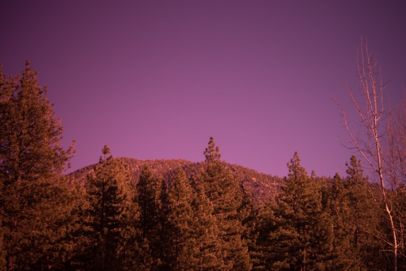 oakley airbrake xl - looking through the airbrake's prizm snow torch iridium lens.