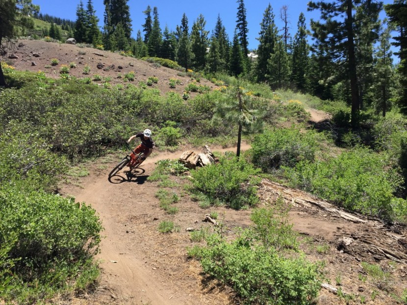 pearl izumi x-project pro - if you like riding a bike off-road then the x-project pro has...