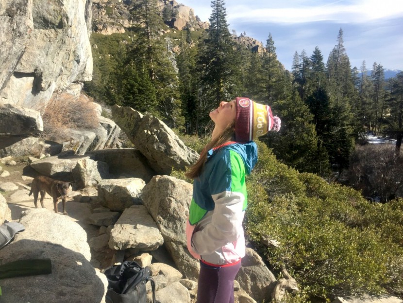 cotopaxi teca half-zip unisex - the bright colors of the cotopaxi definitely make it stand out, but...