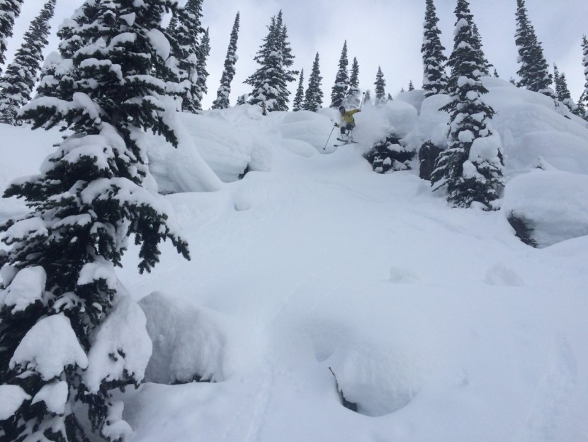 patagonia pluma - fulfilling pillow dropping fantasies implanted by watching too many...