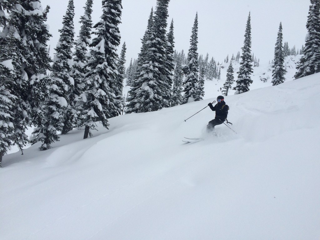 the north face summit l5 fuseform gtx - dakota soifer testing the summit l5 fuseform gtx in the silent trees...
