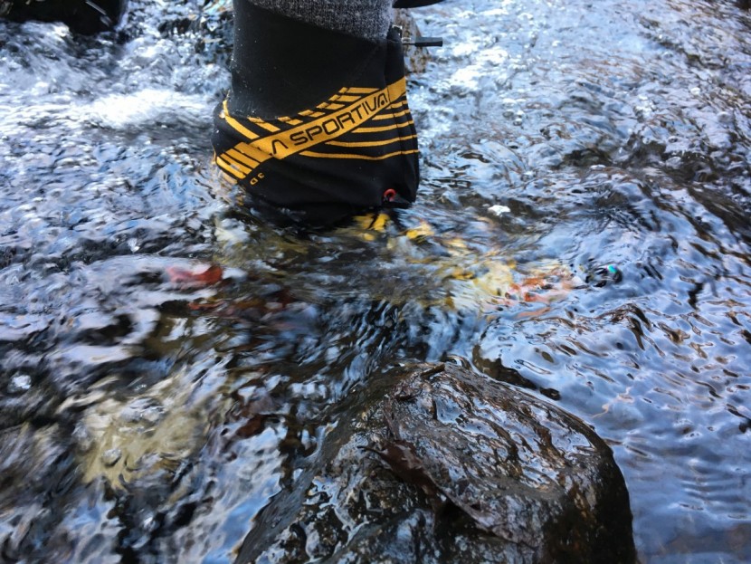 la sportiva trango ice cube - the ice cube in an ice cold stream. we stood here for over a minute...