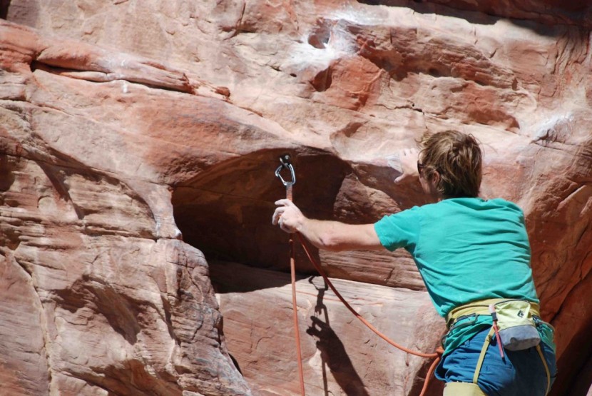 black diamond freewire quickdraw - we liked the tension on the wiregates, and it consistently clipped...