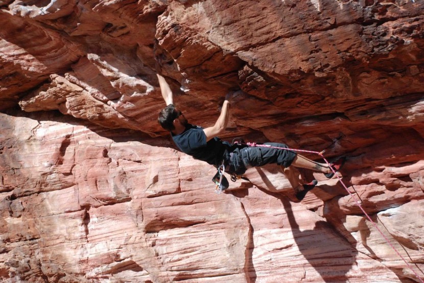 black diamond freewire quickdraw - this is a great quickdraw for those who want to save a bit on their...