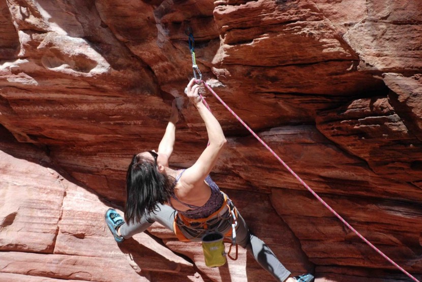 camp usa orbit wire express ks - the carabiners had decent clipping action and we didn't notice that...