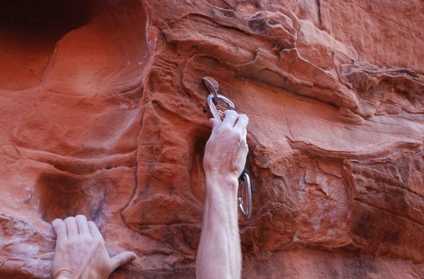 black diamond oz quickdraw - the "hood" on the notch helps prevent the draw from snagging on the...