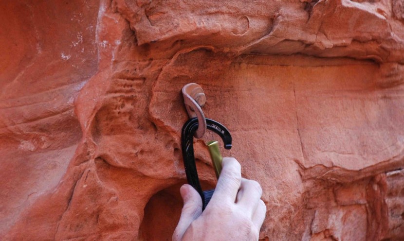 black diamond livewire quickdraw - the notch-free nose won't snag on the bolt when you go to unclip...