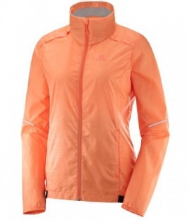 Product photo of Salomon Agile - Women's