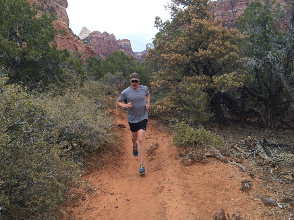 smartwool phd ultra light - the phd ultra light uses a blend of polyester and merino wool fibers...