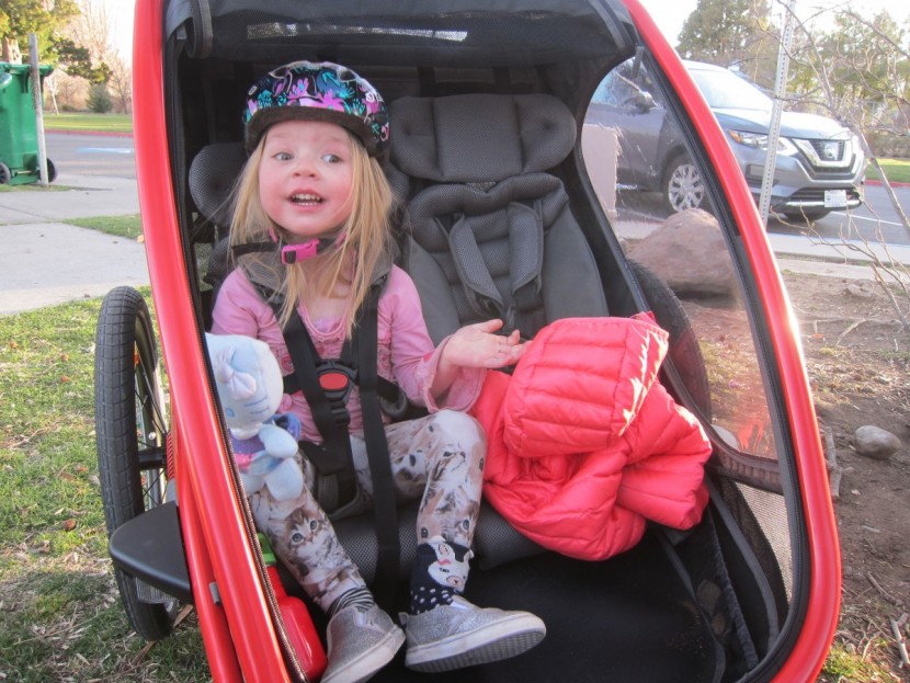 bike trailer - the hamax outback has super plush seat pads, a flat, rubberized foot...