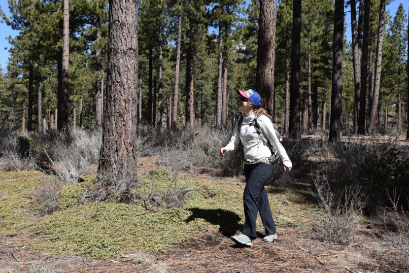 patagonia sunshade hoody for women - hike comfortably in this breathable sun shirt from patagonia.