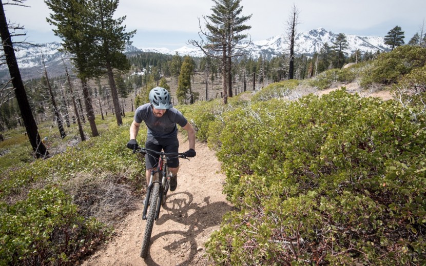 gt verb expert 2018 - climbing on the verb expert was no picnic either.