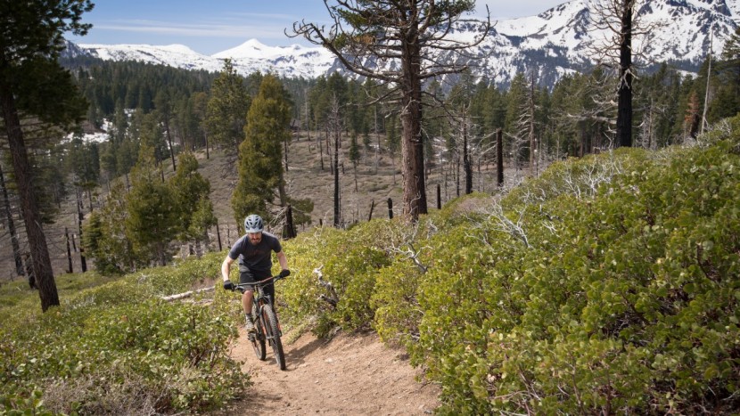 rocky mountain instinct alloy 50 2018 - no eagle here. the 42-tooth climbing gear makes you work for it.