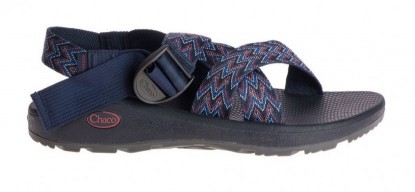 Chaco Mega Z/Cloud Review