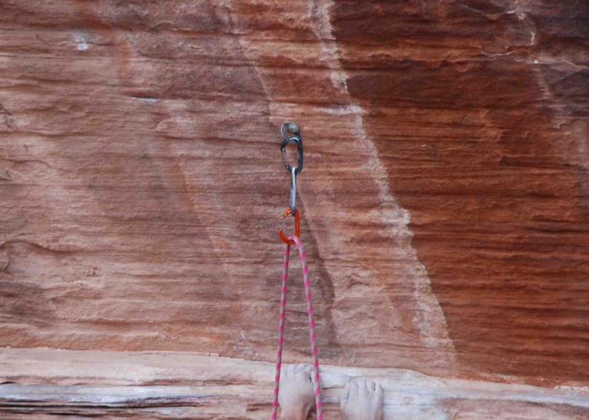 cypher firefly ii - the sewn-in rubber positioner keeps the bottom carabiner in the...