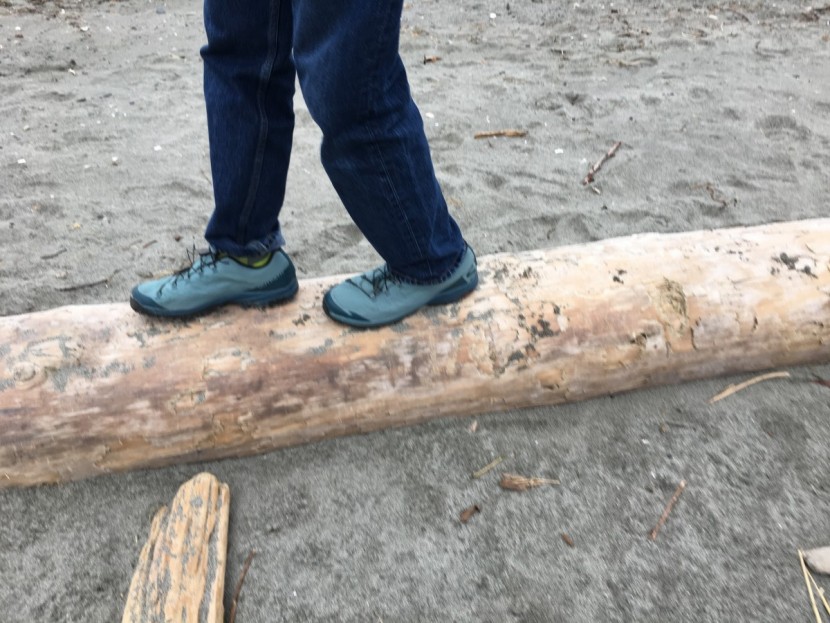 salomon outpath gtx - the rigid sole provides great support on uneven ground.