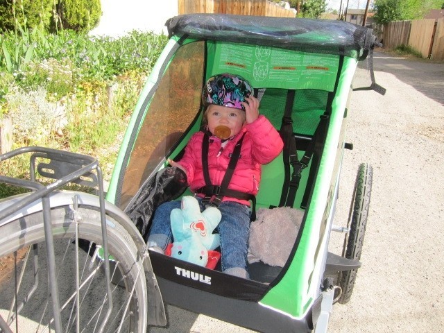 bike trailer - the basic safety features in the lower cost models like the thule...