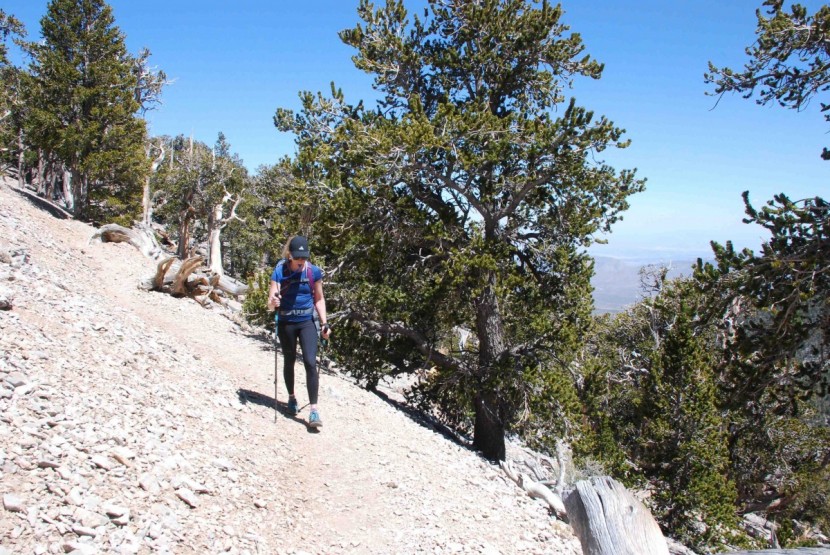 the north face progressor hybrid tights - while this fabric was moisture-wicking and breathable, we still got...