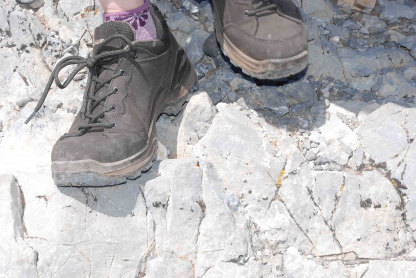 lowa renegade gtx lo for women - this pair should last for hundreds of miles. the pu midsole won't...