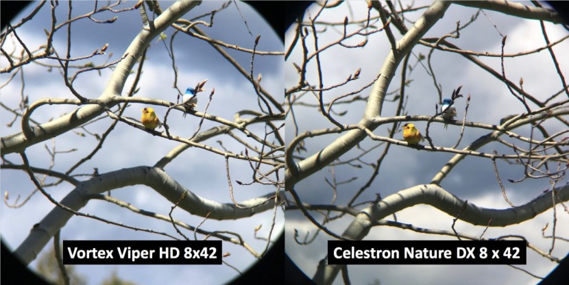 celestron nature dx 8x42 - the vortex viper hd is clearly brighter and sharper than the...