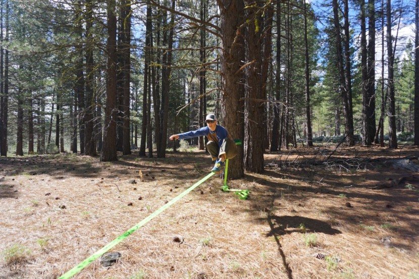 macaco classic line - from walking to sit-starts, this model is an inexpensive beginner...