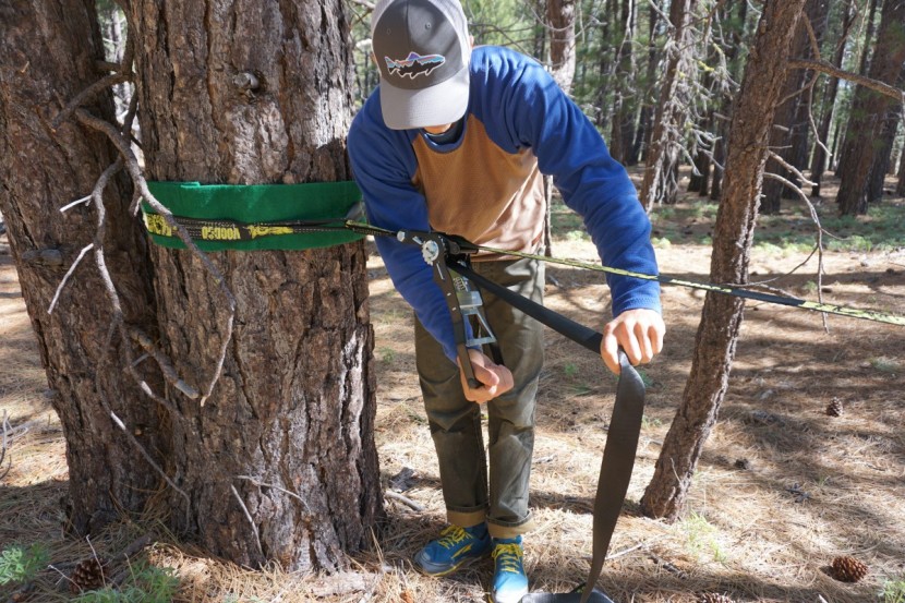 voodoo gold trickline - its extra-long 13-inch ratchet, makes it easy to tension this line.