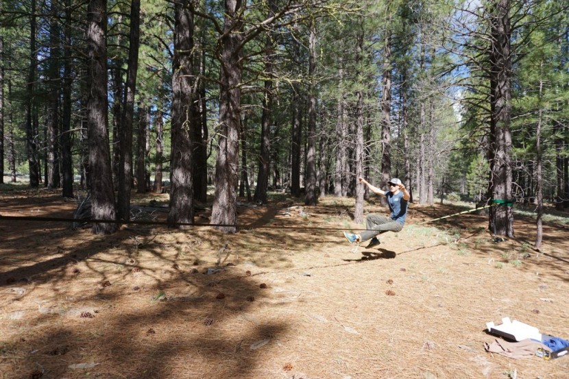 voodoo gold trickline - the butt-bounce is a great air-catching trick for those new to...