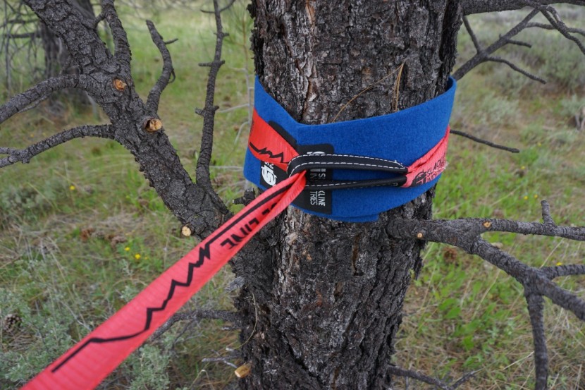 slackline - tree protectors are a necessary part of every setup whether included...