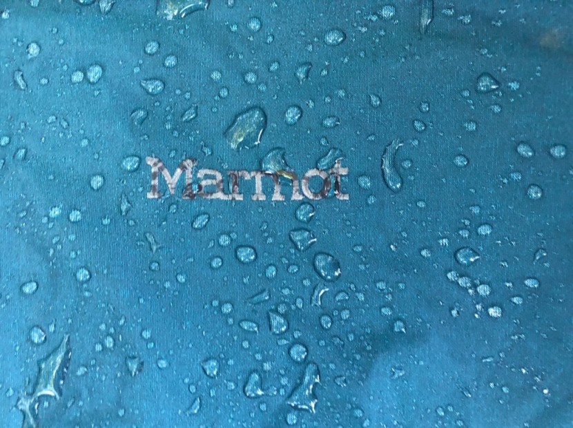 marmot phoenix - the proprietary 2.5-layer membrain evodry had some of the better dwr...