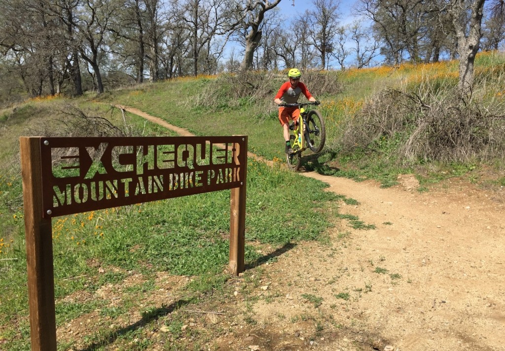 mountain bike saddle - mountain bike saddles are mostly good for mountain biking, but some...