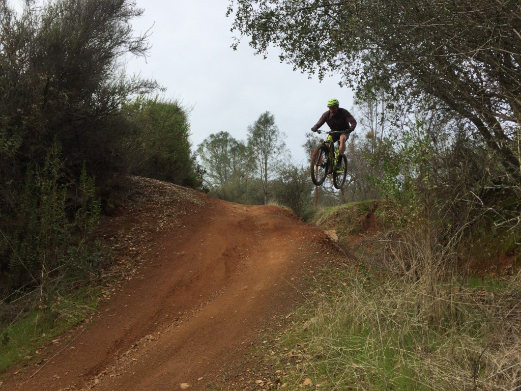 wtb volt chromoly - don't think about your mountain bike saddle, think about the trail...