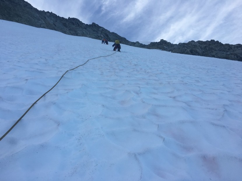 petzl sum'tec - no other model climbed steep snow or ice as well as this model did...