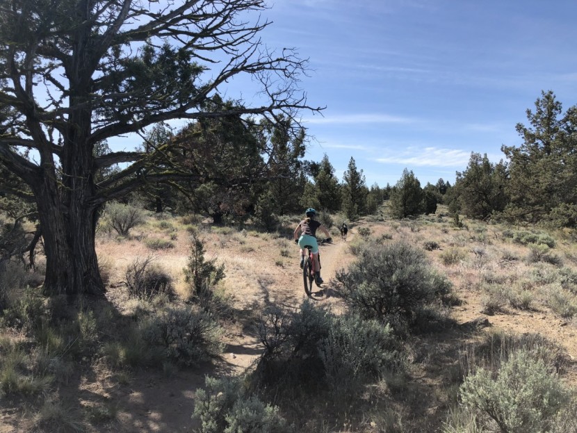 club ride apparel eden - this short is great for a short ride with the dogs.