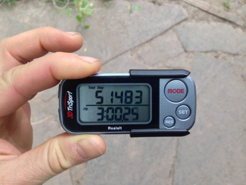 realalt 3d trisport - in addition to recording daily steps for today &amp;amp; the day before...