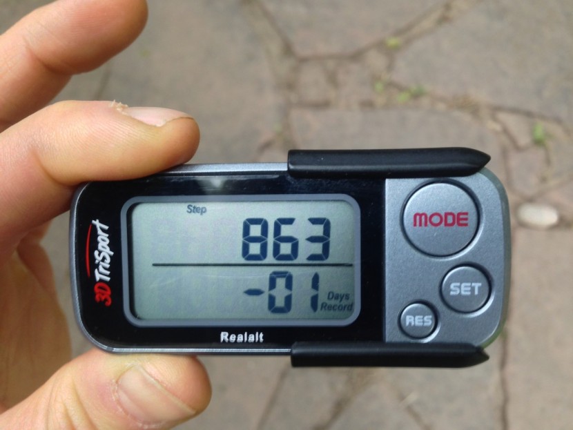 realalt 3d trisport - the 3d trisport keeps a precise record of the previous day's steps...