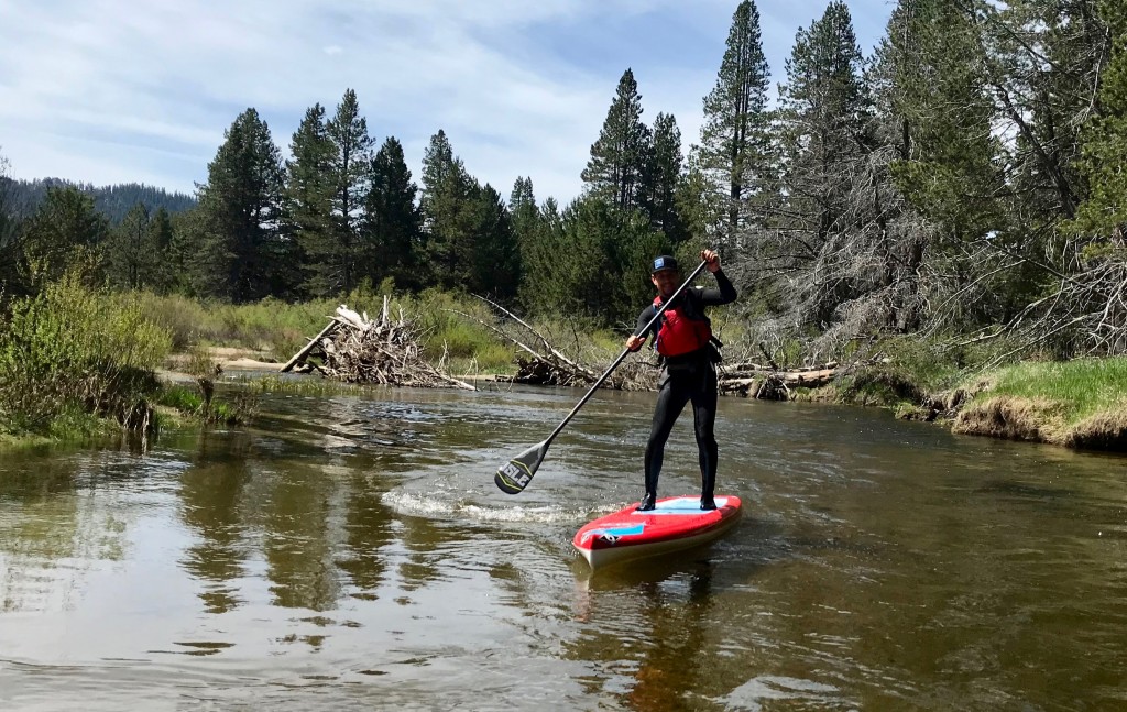 bic ace-tec wing - the wing has fantastic glide performance, making it a great option...