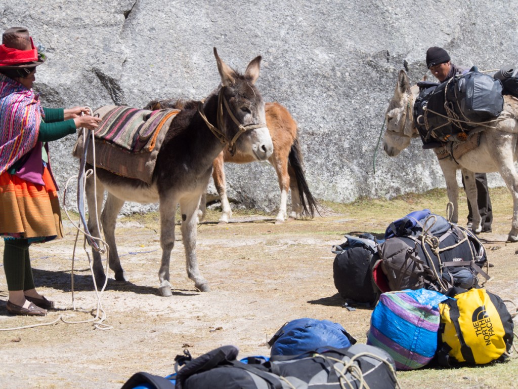 stanley adventure base camp - an animal-supported base camp might be a good place for the stanley...