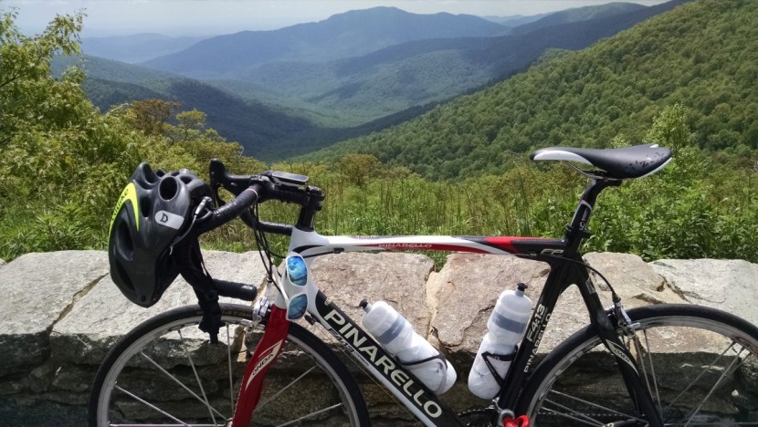 fizik aliante gamma kium - the fi'zi:k aliante gamma k:ium is all the saddle most riders should...