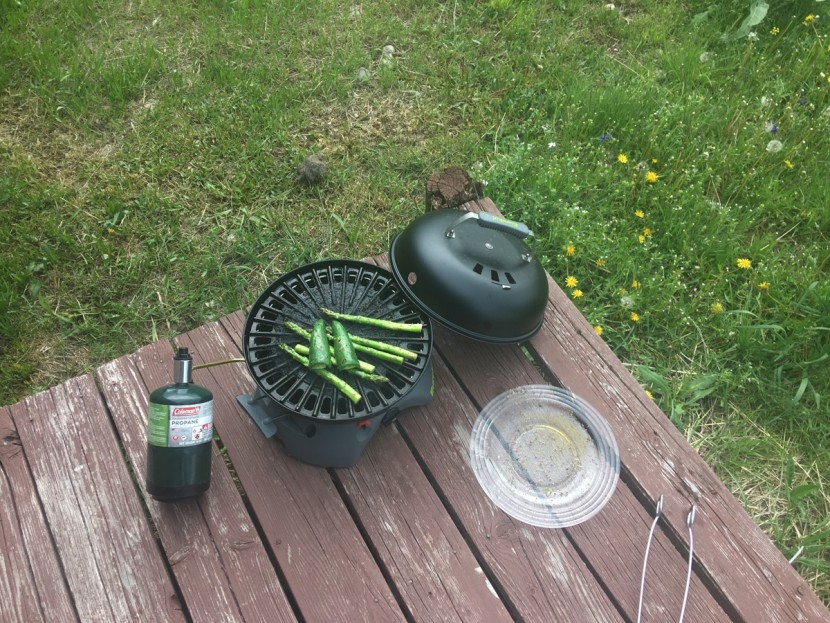 eureka gonzo - for cooking small meals with small storage space, the gonzo grill is...