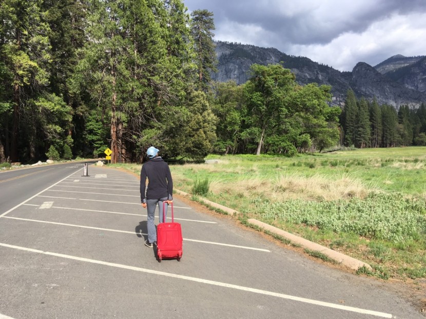 swissgear 7208 expandable liteweight spinner - this model is suitable for business or more adventurous travel.